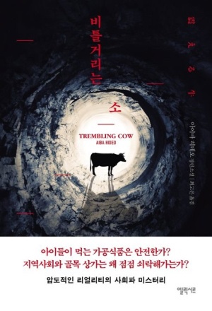 아이바 이미지