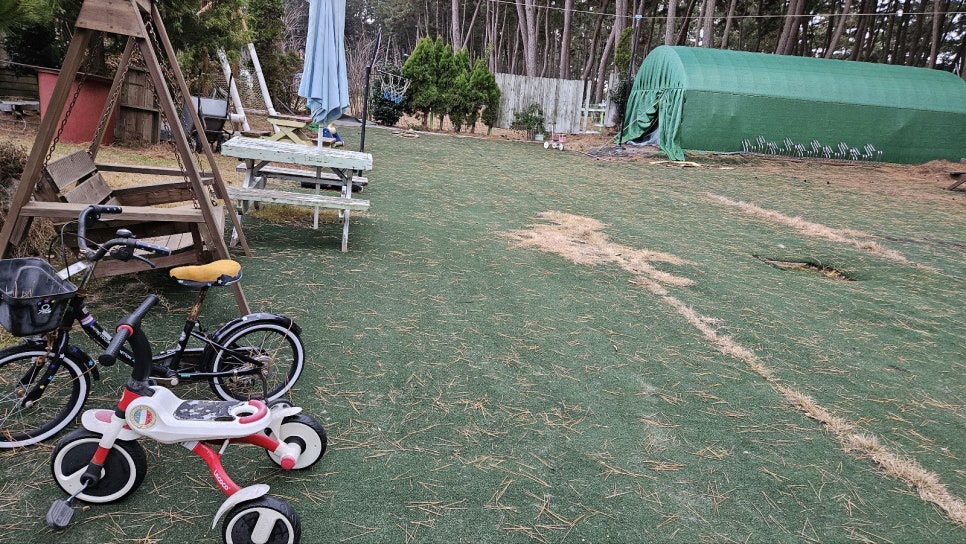 태안안면도아이랑키즈독채오션뷰풀빌라 이미지