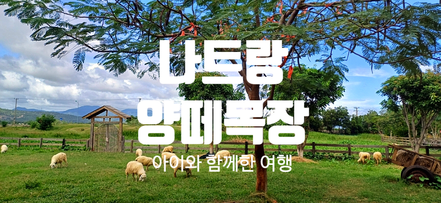 네일포롱 이미지