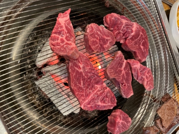 참토우 이미지