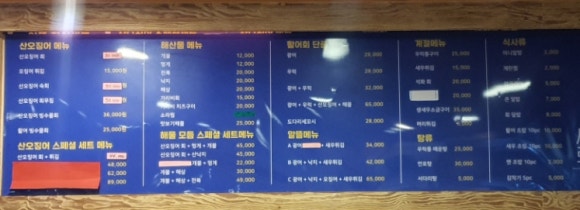 신가바늘산오징어 이미지