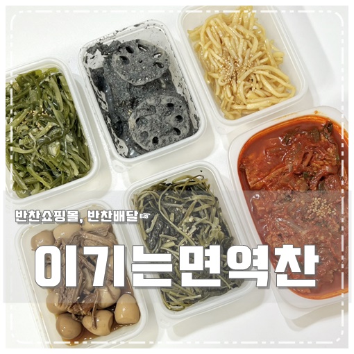 이기는면역찬 이미지