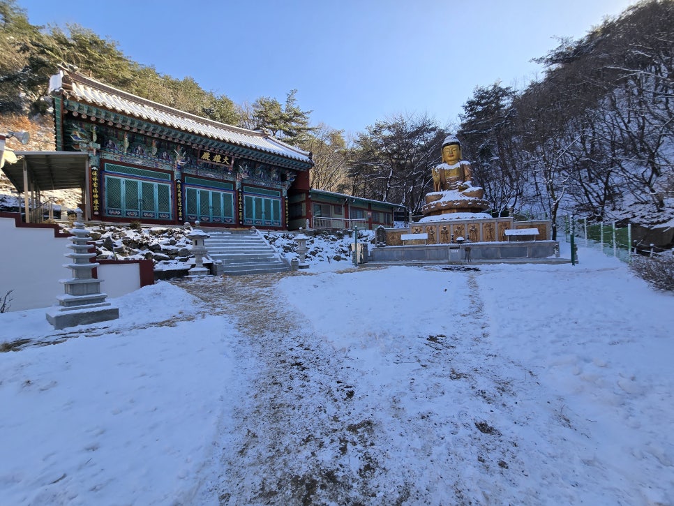 사.코 이미지