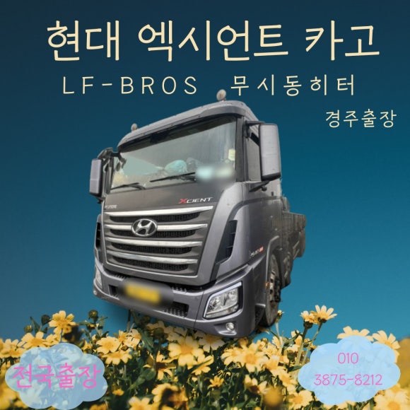 진아냉열 이미지