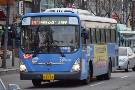 솔향기바다 이미지