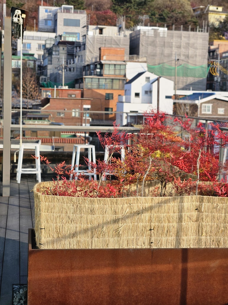 NC대학로 이미지