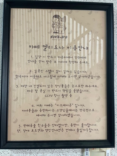 멜티도나 이미지