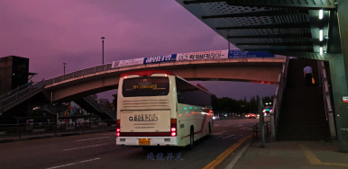 하트여행사 이미지