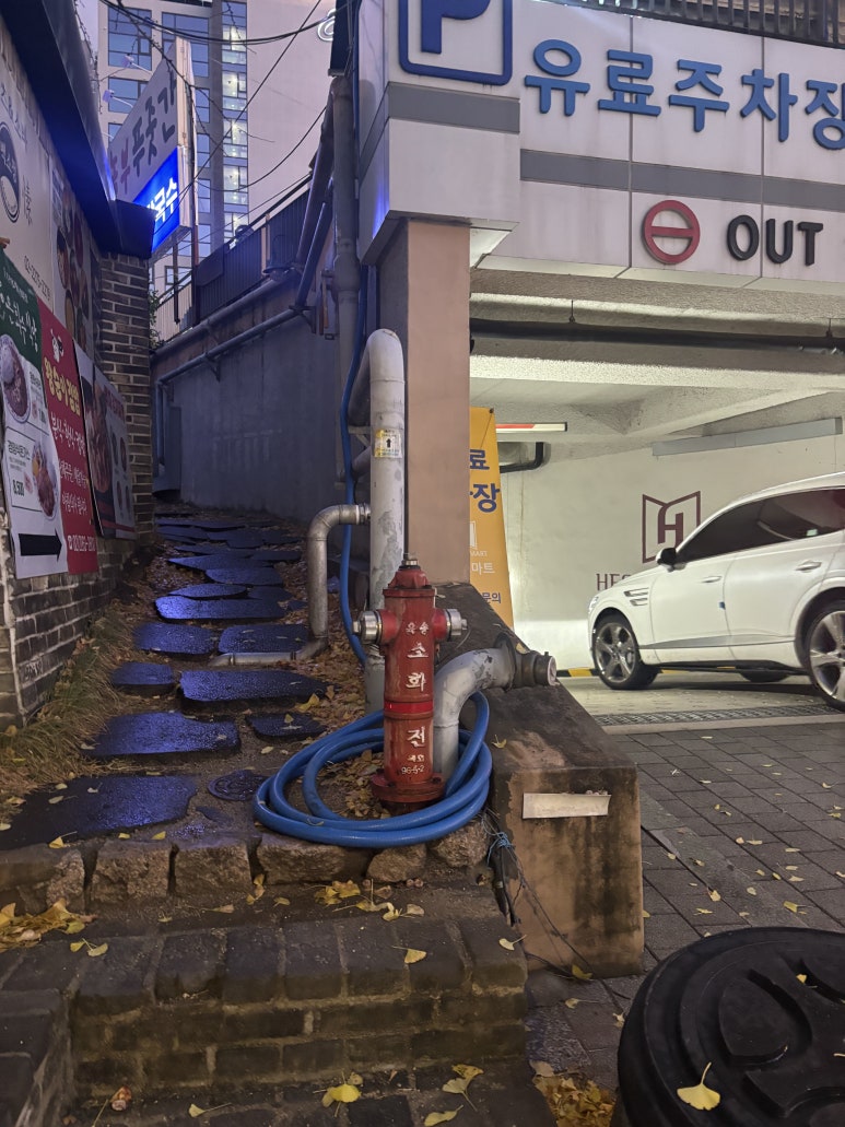 오징어바다 이미지
