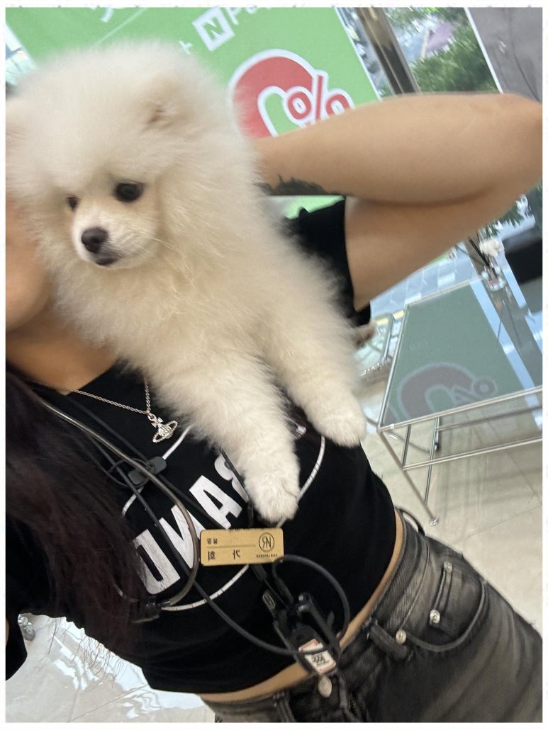 나를헤어 이미지