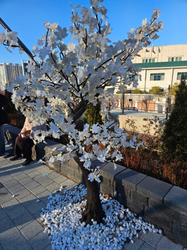 경돌프 이미지