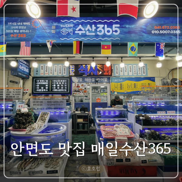 매일수산365 이미지