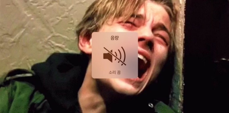 앨리스 프로젝트 이미지