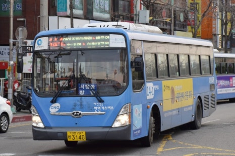 솔향기바다 이미지