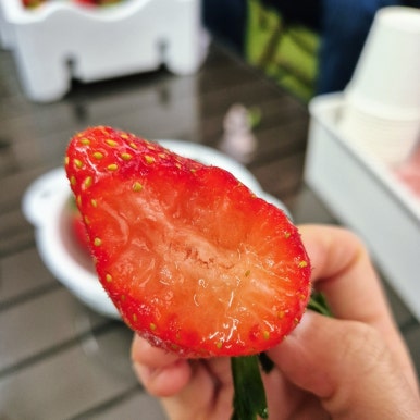 장스아이스크림 이미지