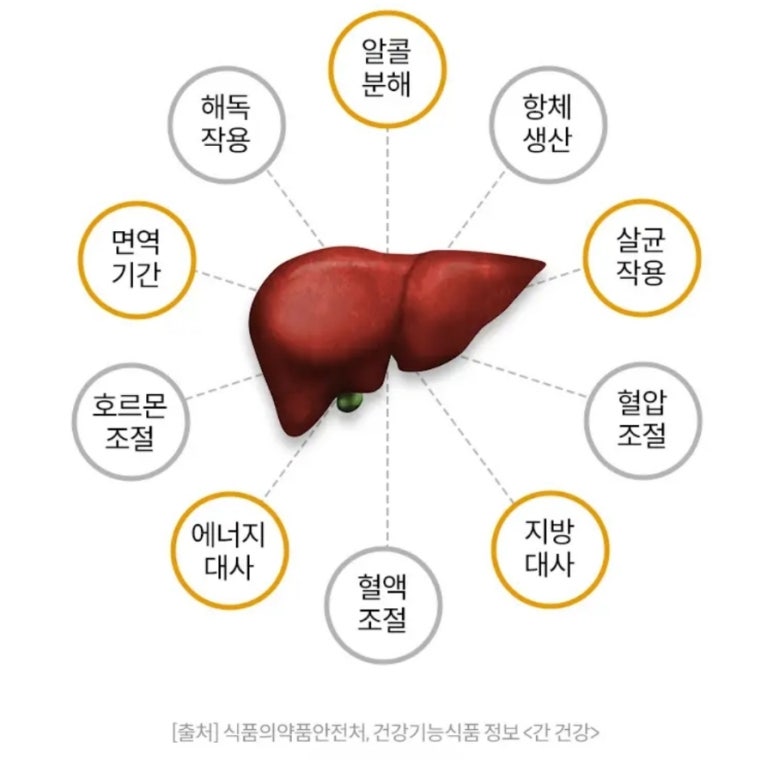 단델리온 이미지
