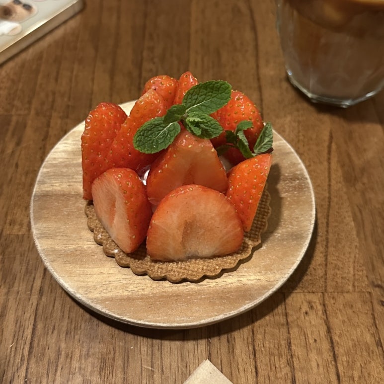 목련양과 이미지