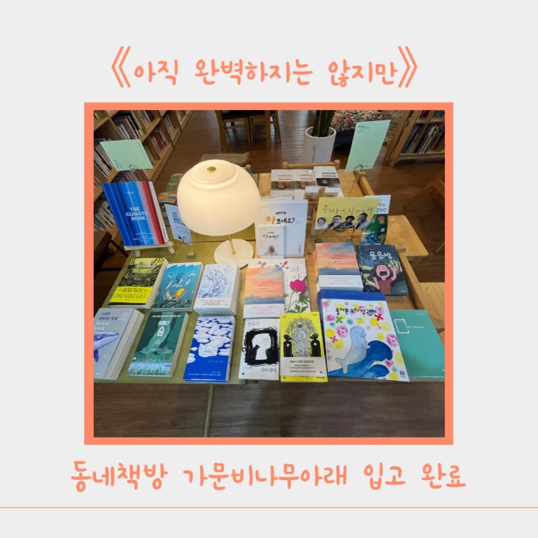 가문비나무아래 이미지