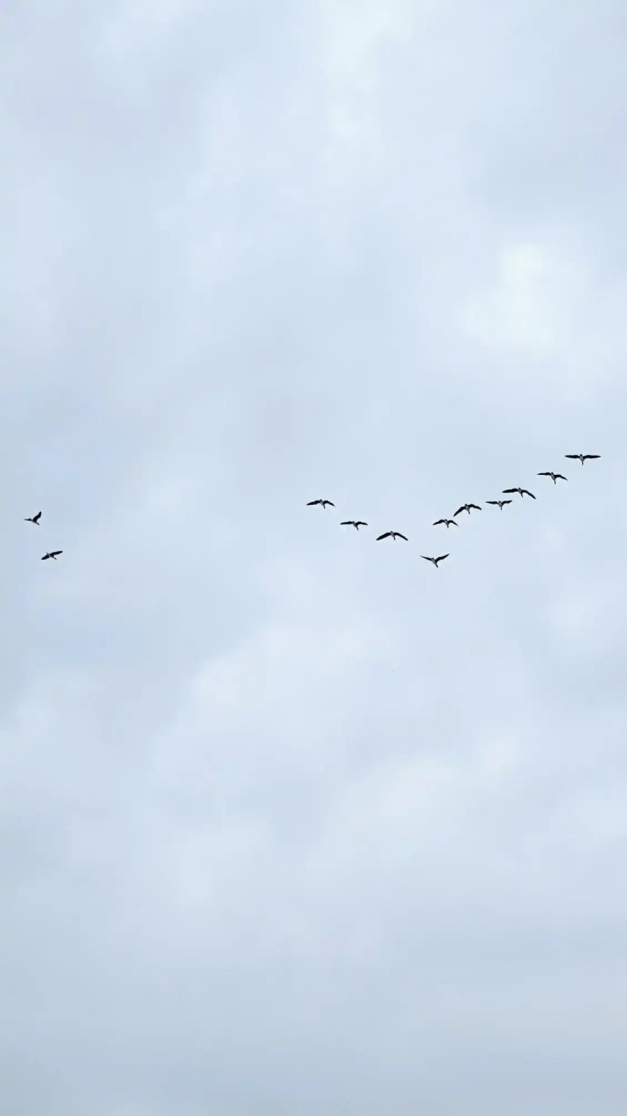 초입 이미지