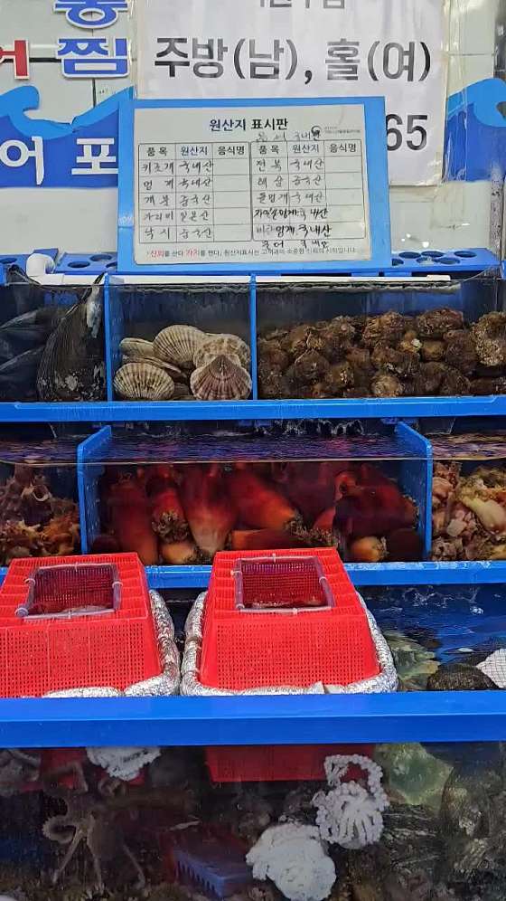 바다회 이미지