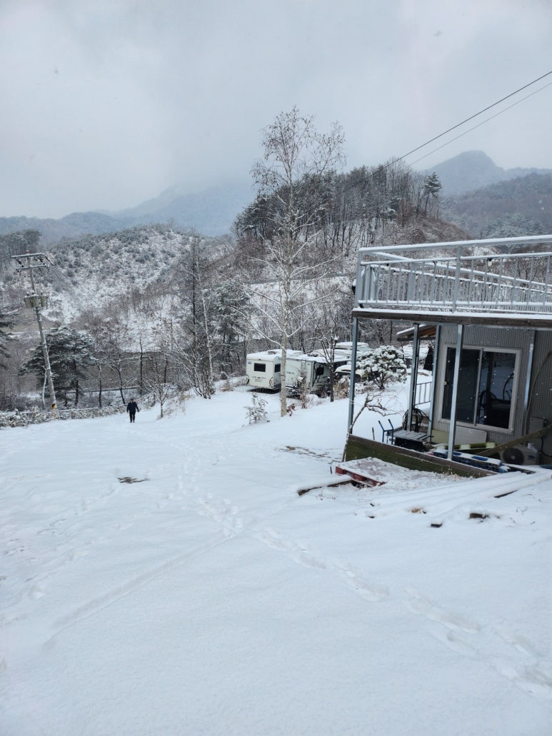 알지캠프266 이미지