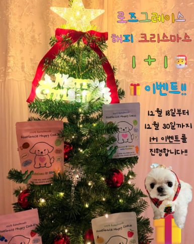 해피쿠키 이미지