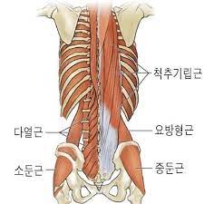 애드짐 이미지