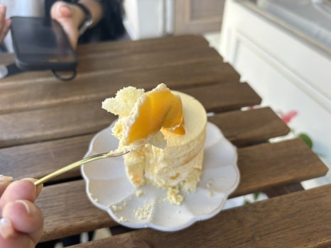 터앗 이미지