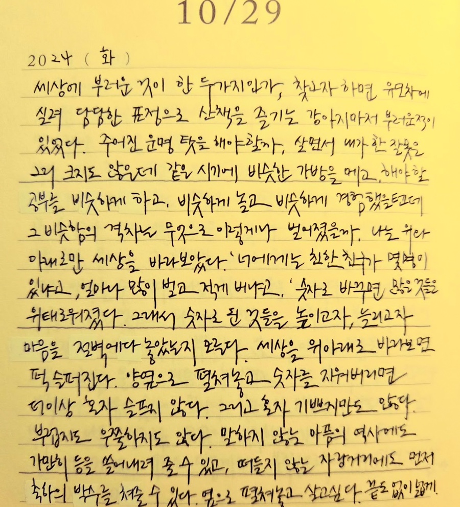 커휘 이미지