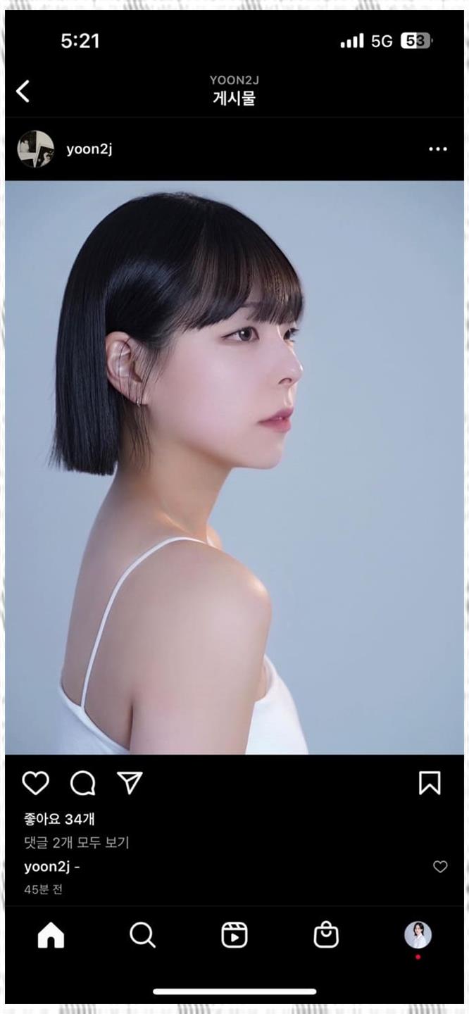 일로헤어 이미지
