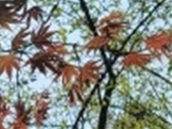와인치과의원 이미지