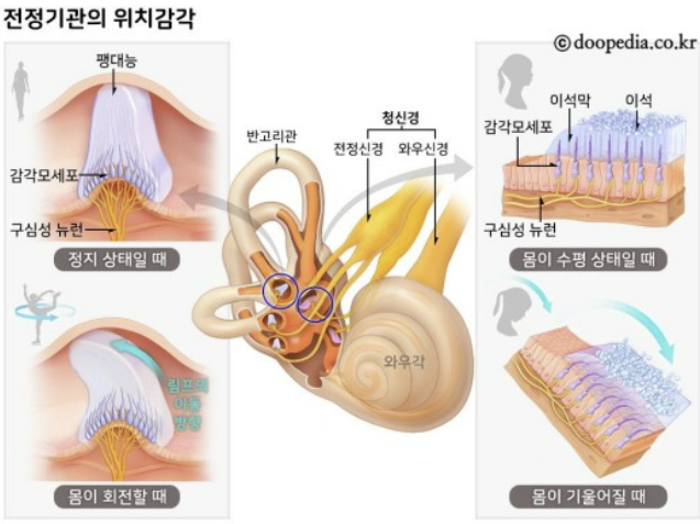 훈토스 이미지