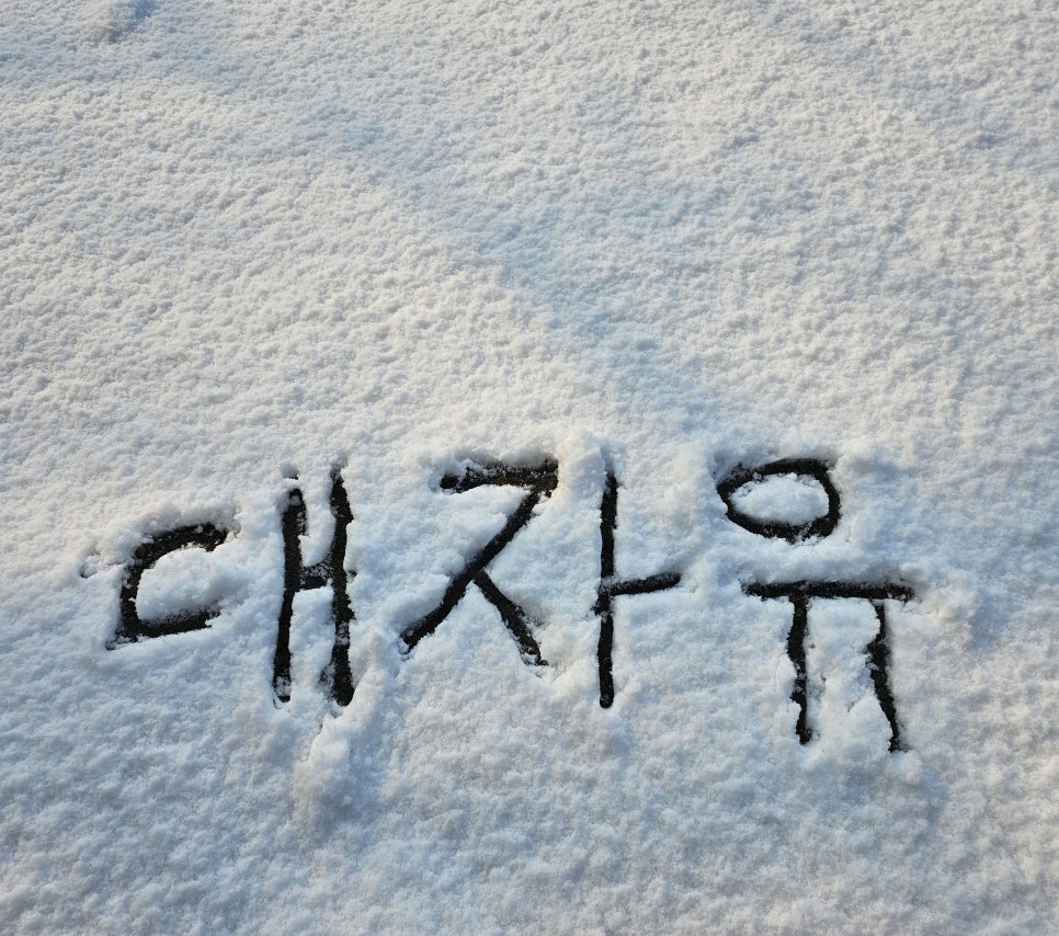 하늘은지붕위로 이미지
