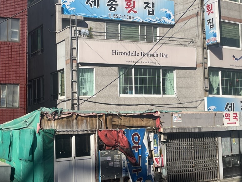이홍델 이미지