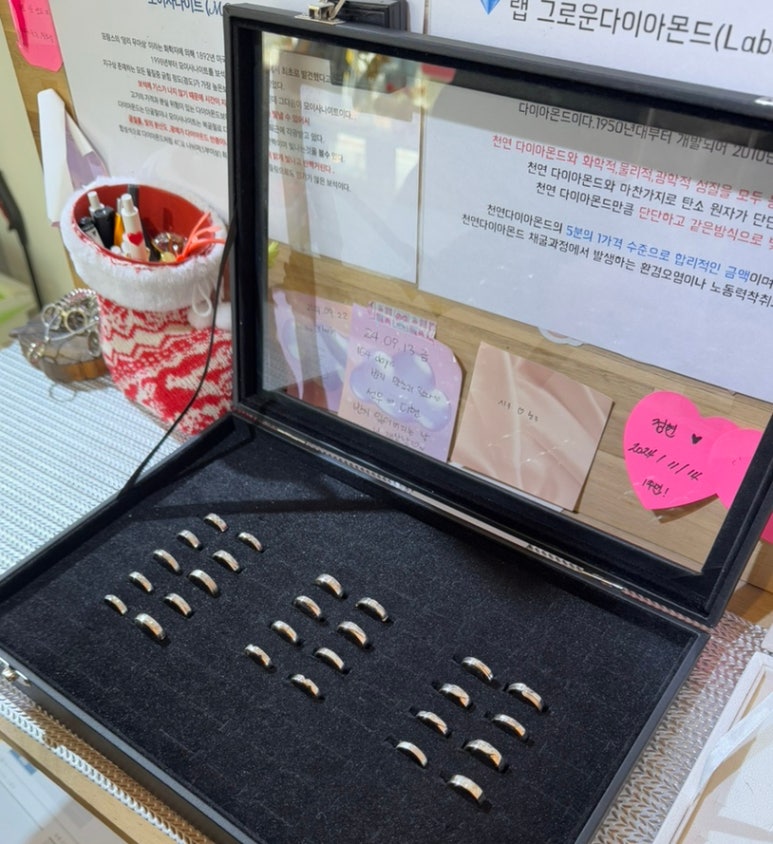 에스텔라엠 이미지