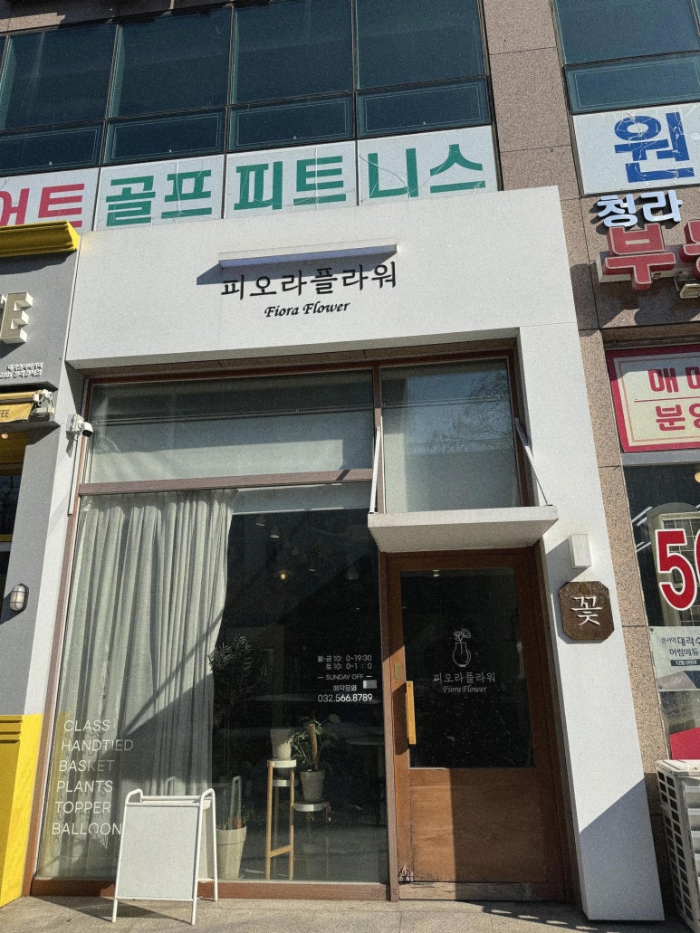 롤플라워 이미지