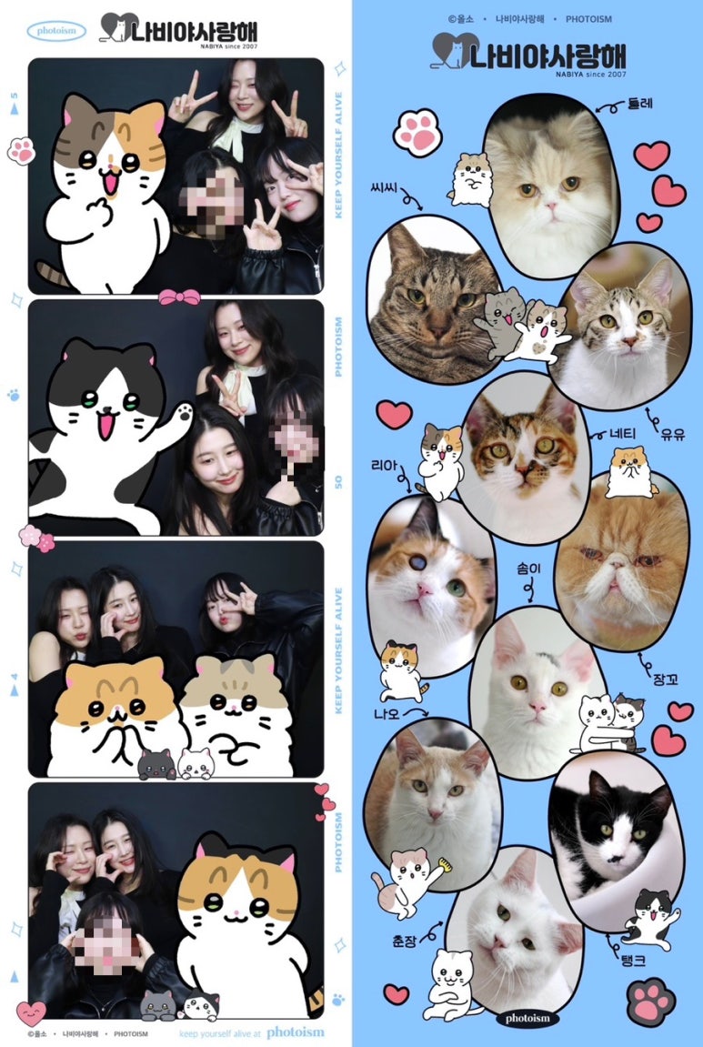 포토이즘상수점 이미지