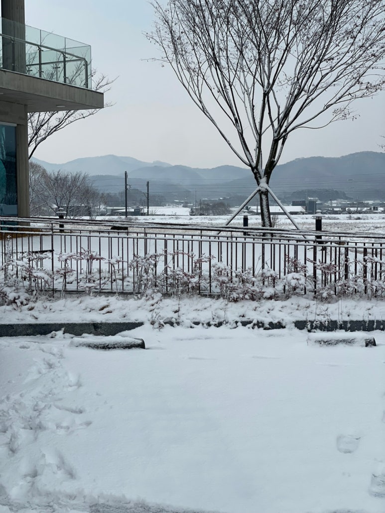 집중력독서실 이미지