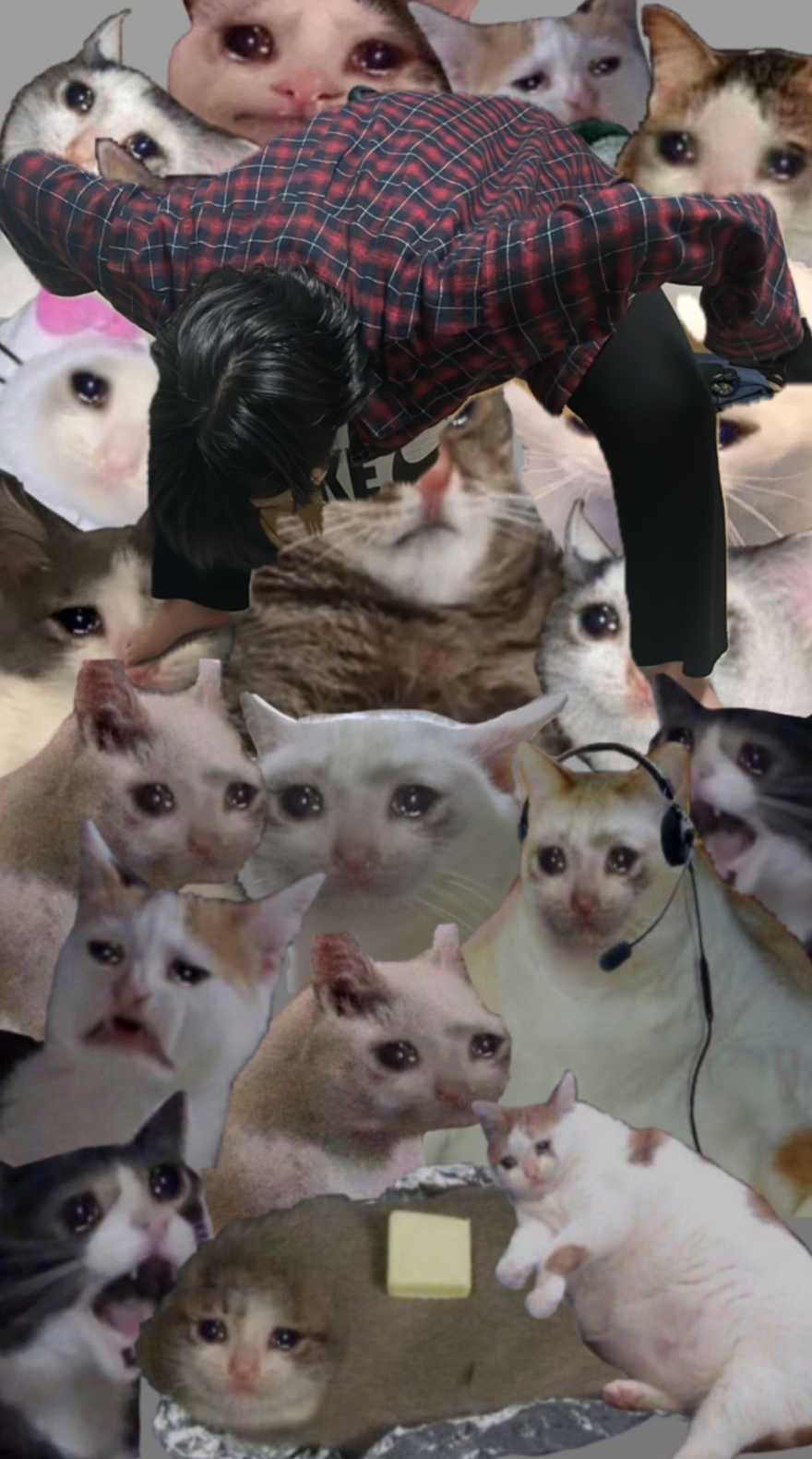 제육시간 이미지