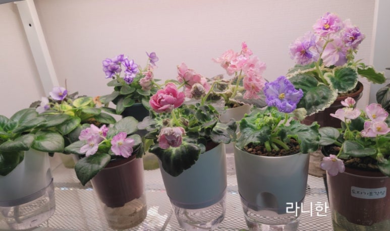 담아담아 이미지