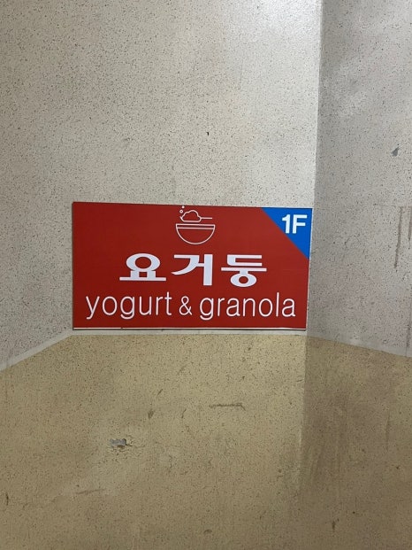 요거둥 이미지
