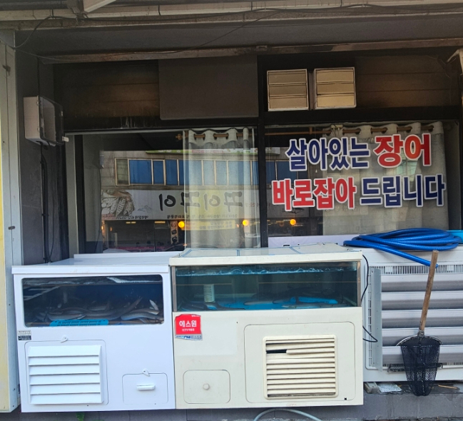 강쇠네뻘떡장어 이미지