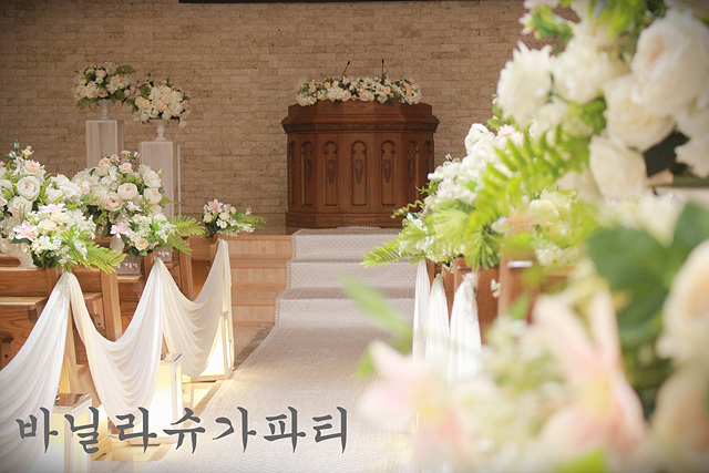 슈가파티 이미지
