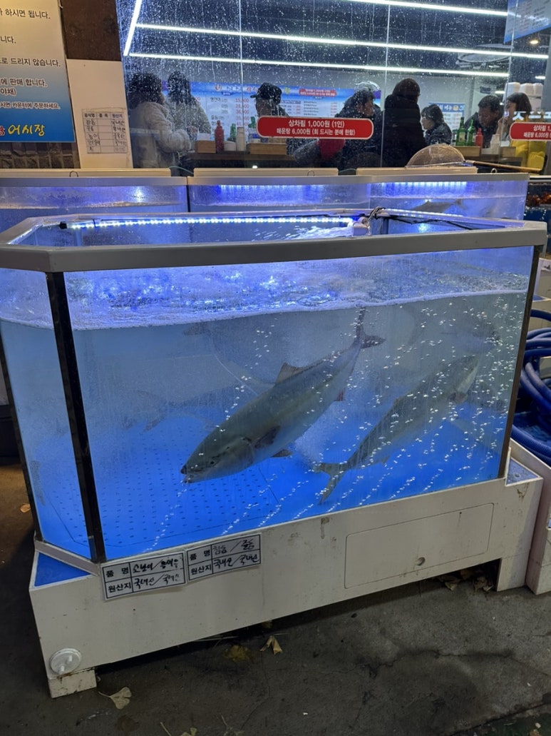 싱싱강남어시장 이미지