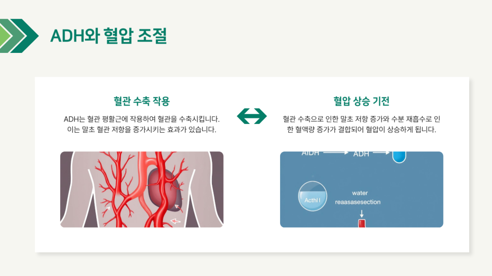 푸더스 이미지