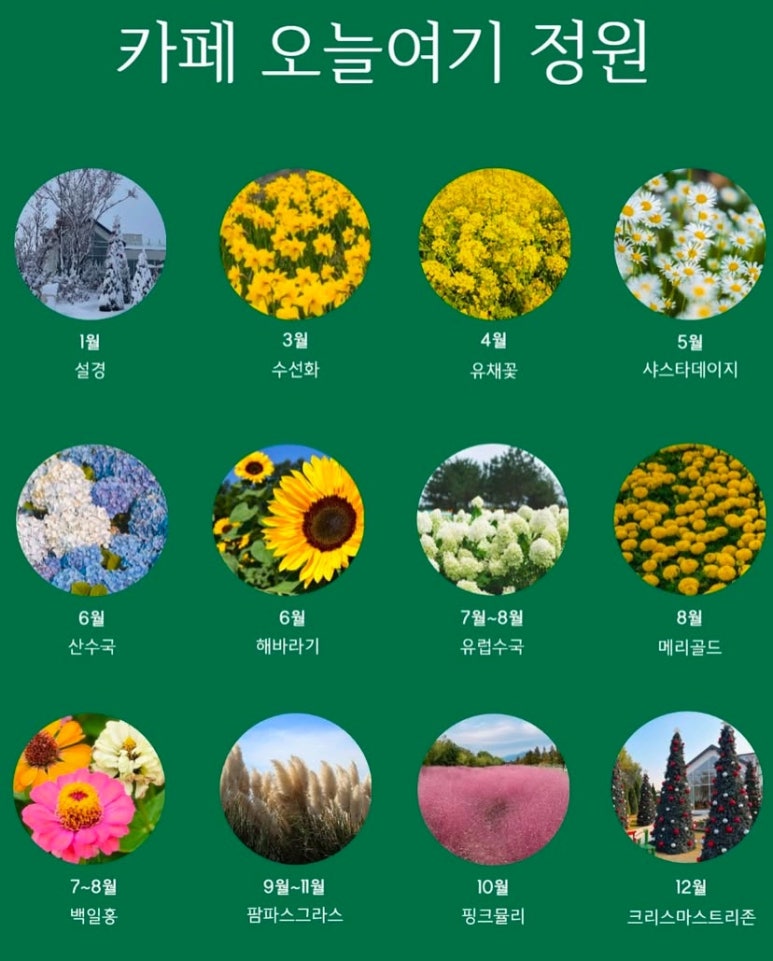 카페오늘 이미지