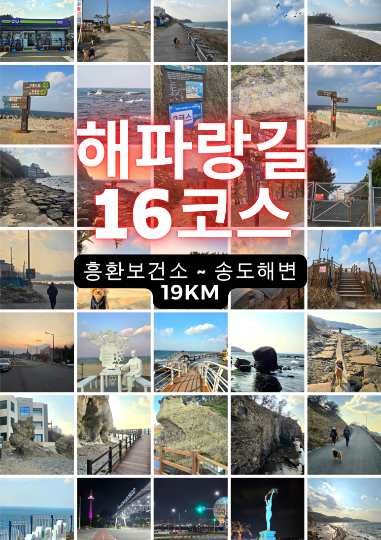 해파랑길 16코스 이미지