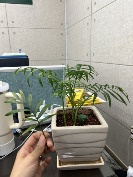 국가대표김치찌개전문점 이미지