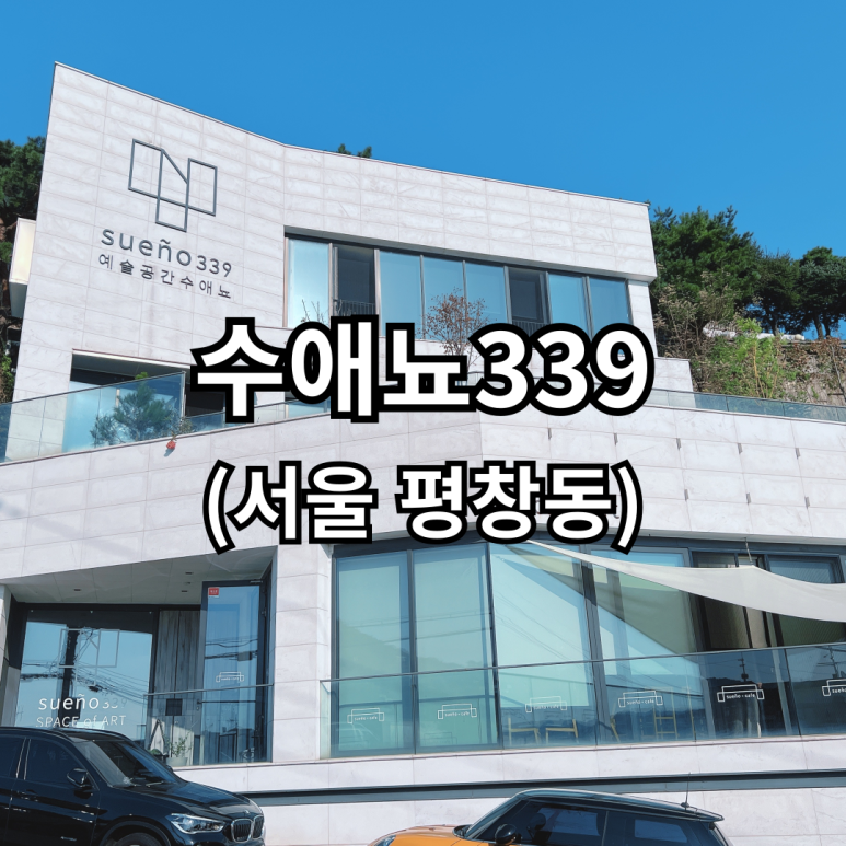 수애뇨339 이미지