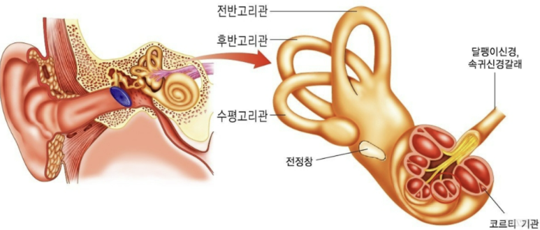 훈토스 이미지